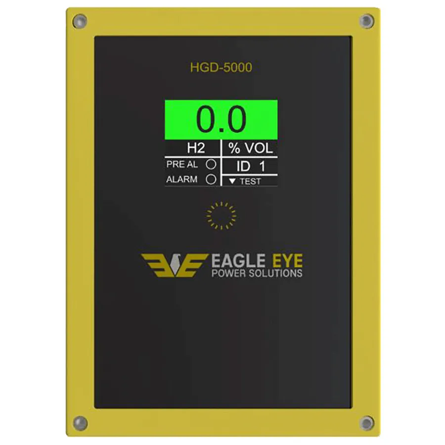 Détecteur de gaz hydrogène Eagle Eye HGD-5000