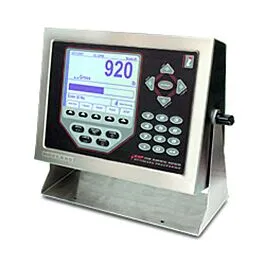 Afficheur de panneau Rice Lake Weighing Systems 69770