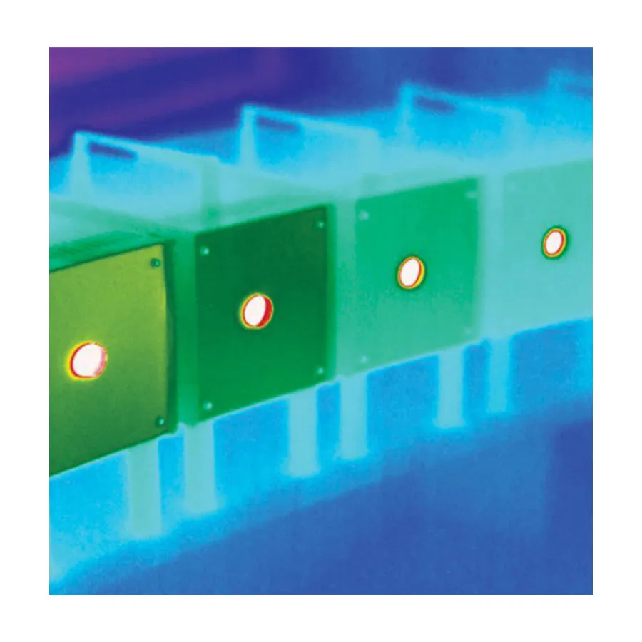 Option de mesure haute température Teledyne FLIR T199559